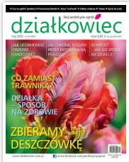 Działkowiec